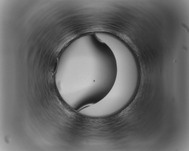 X0000100381225200806271326