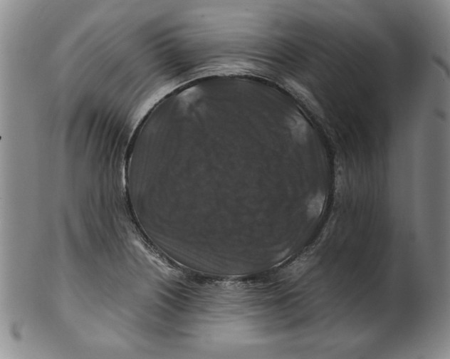 X0000100381226200806271326