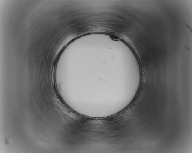 X0000100381227200806271326