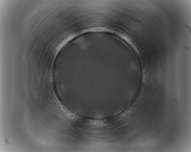 X0000100381229200806271327