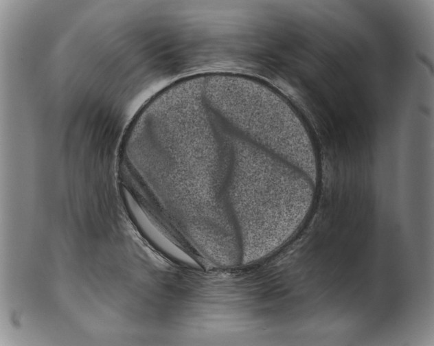 X0000100381230200806271327