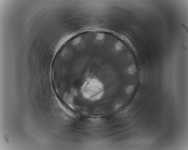X0000100381231200806271327