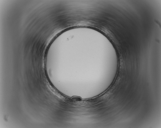X0000100381232200806271327