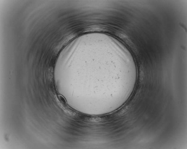 X0000100381233200806271327