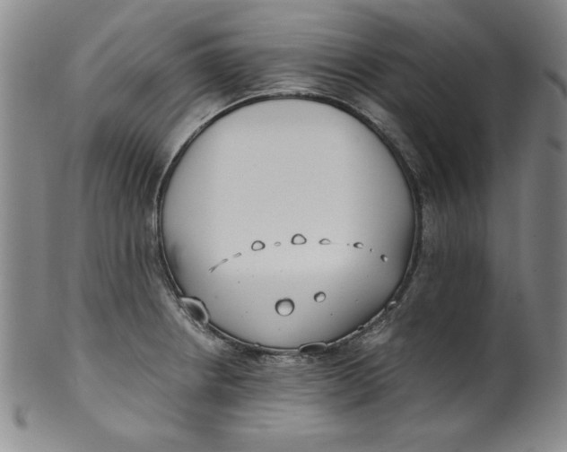 X0000100381234200806271327