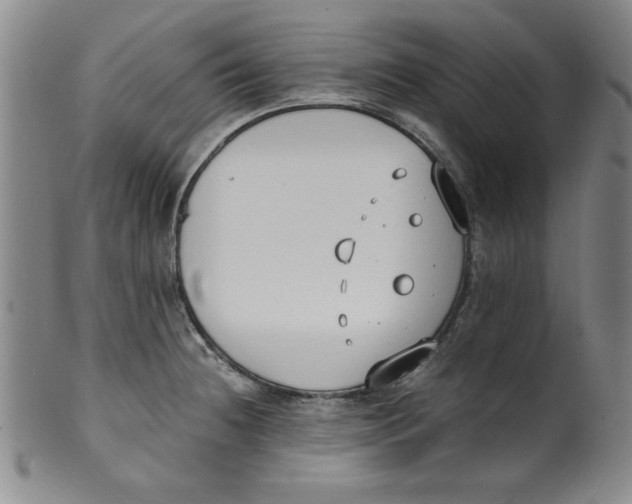X0000100381236200806271327