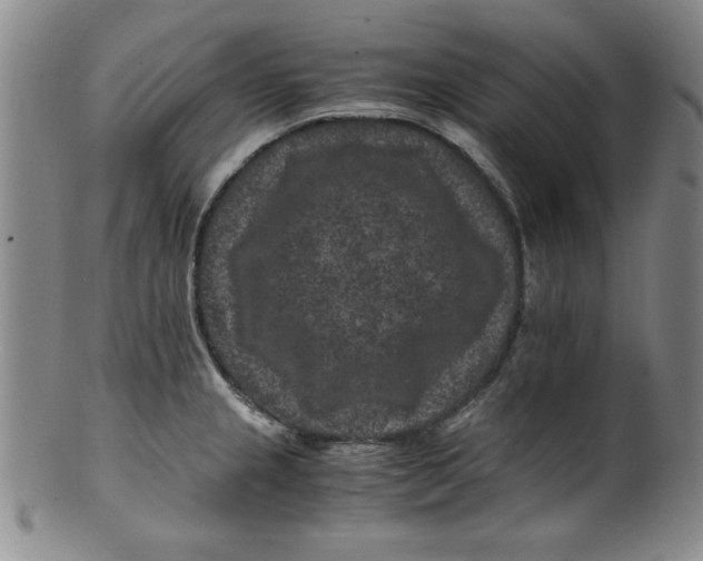 X0000100381237200806271327