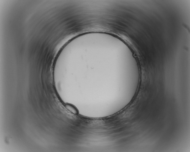 X0000100381238200806271327