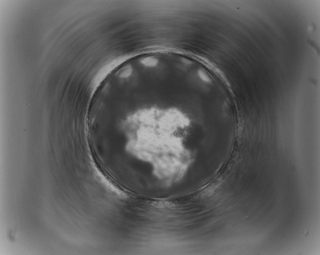 X0000100381239200806271327