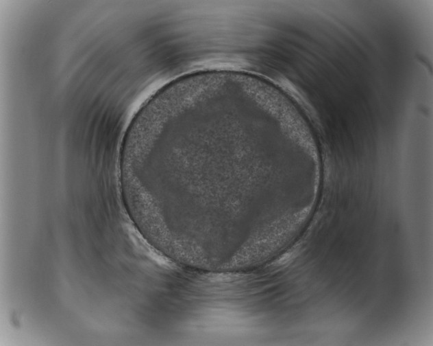 X0000100381240200806271327