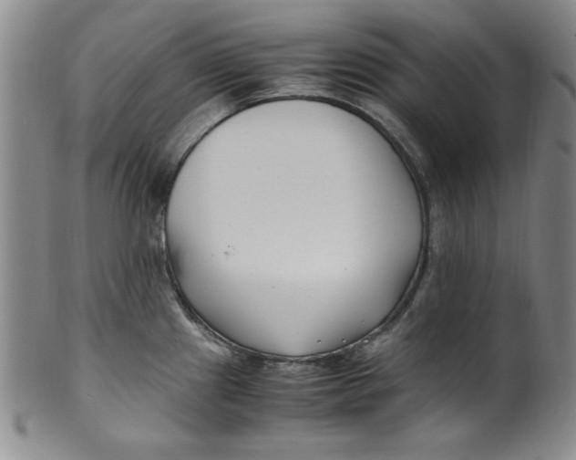 X0000100381241200806271327