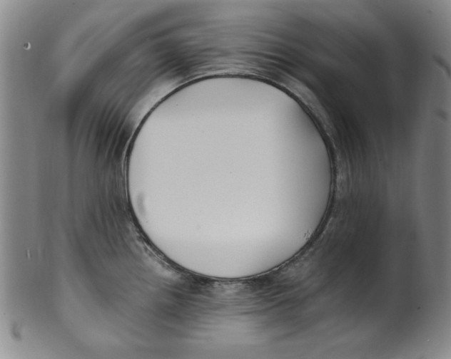 X0000100381242200806271327