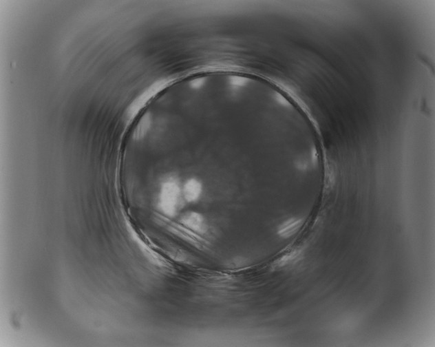 X0000100381245200806271327