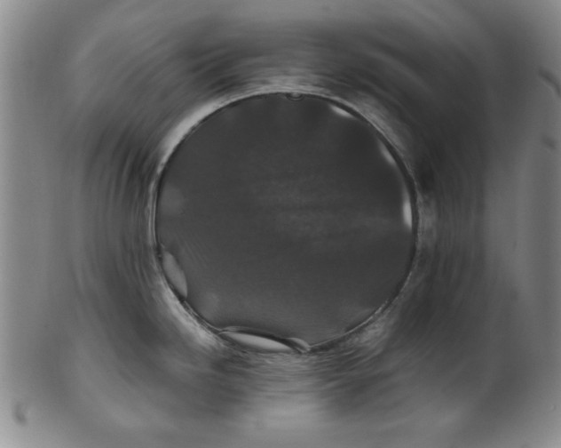 X0000100381246200806271327