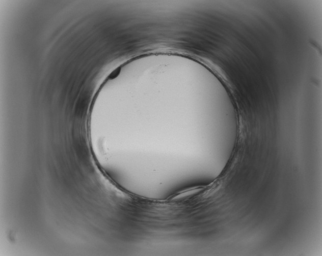 X0000100381247200806271327