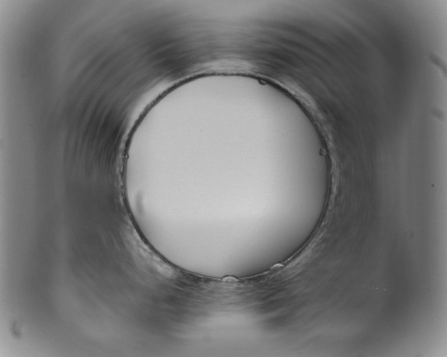 X0000100381248200806271327
