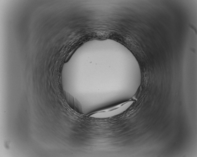 X0000100381249200806271326