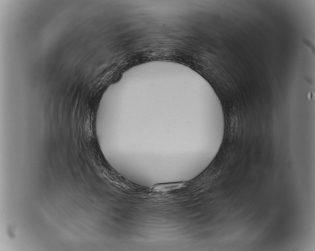 X0000100381250200806271326