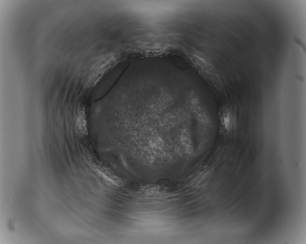 X0000100381252200806271326