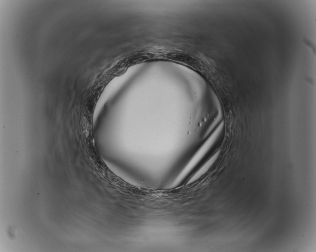X0000100381253200806271326