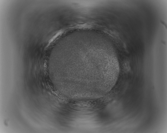 X0000100381254200806271326