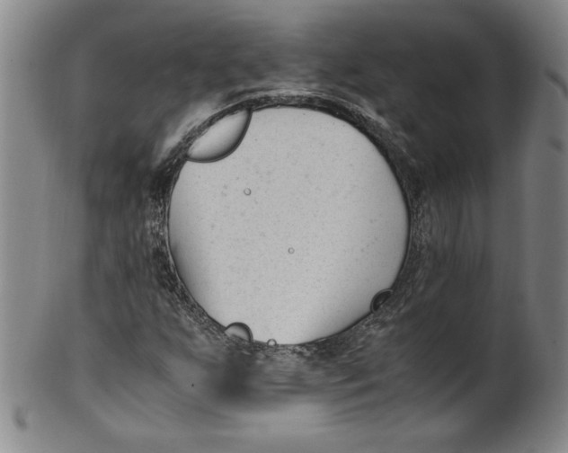 X0000100381255200806271326