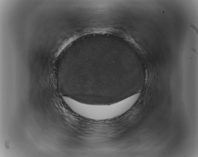 X0000100381256200806271326