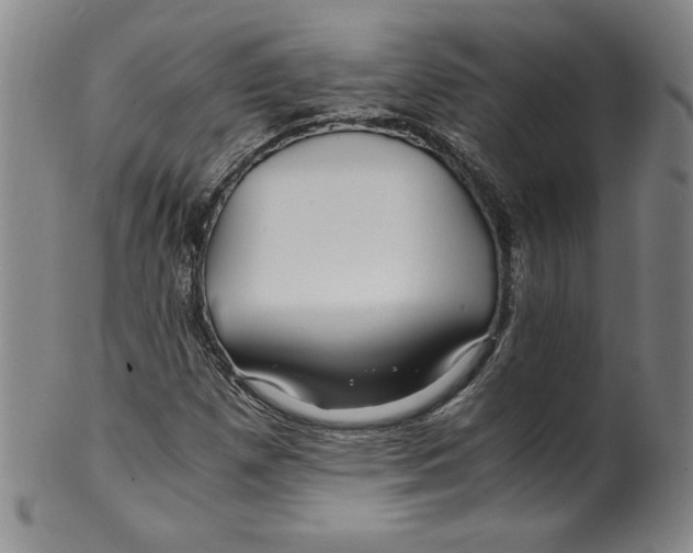 X0000100381257200806271326