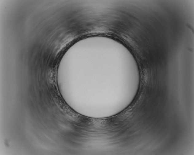 X0000100381258200806271326
