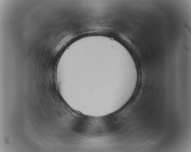 X0000100381259200806271326