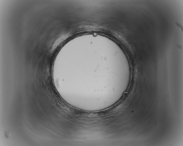 X0000100381261200806271326