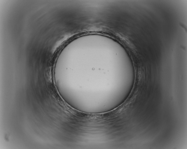 X0000100381262200806271326