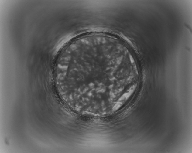 X0000100381263200806271326