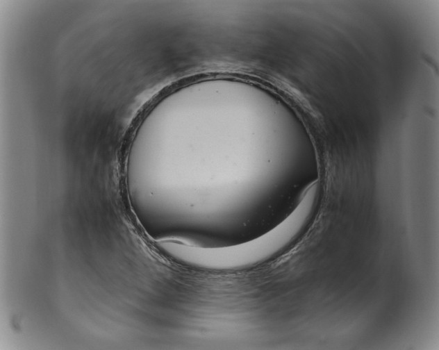 X0000100381264200806271326