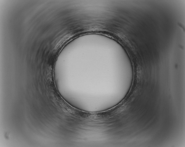X0000100381265200806271326