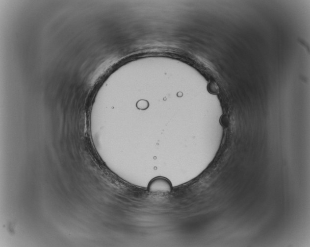 X0000100381267200806271326