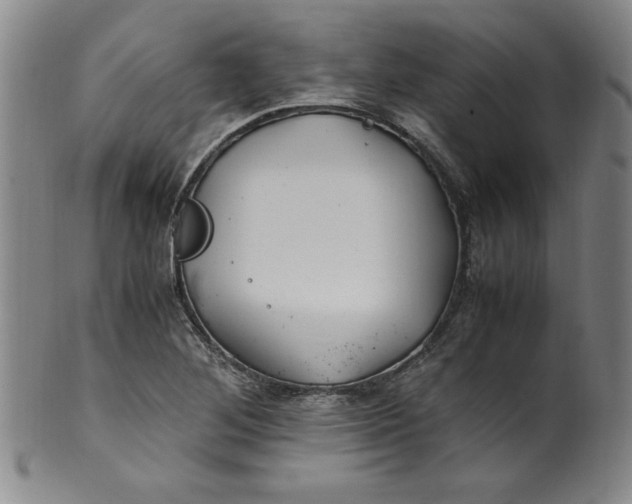 X0000100381268200806271326