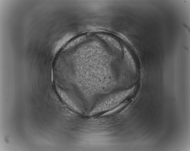 X0000100381269200806271326