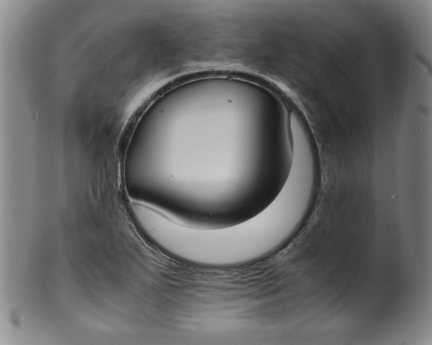 X0000100381271200806271326