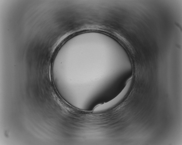 X0000100381272200806271326