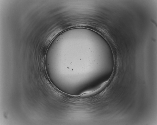 X0000100381273200806271326