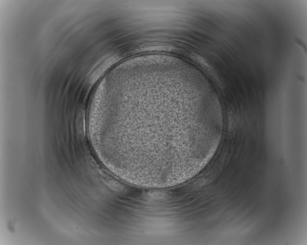X0000100381274200806271326