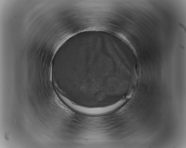 X0000100381276200806271326