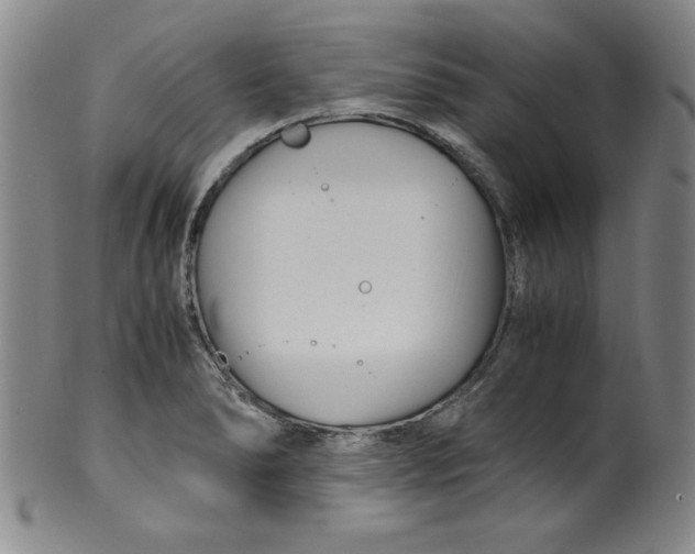 X0000100381278200806271326