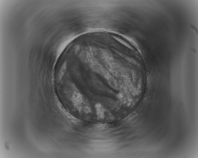 X0000100381279200806271326