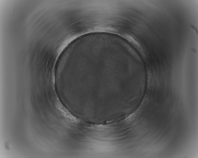 X0000100381280200806271326