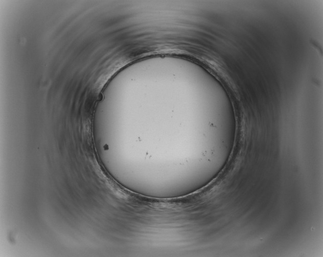 X0000100381281200806271326