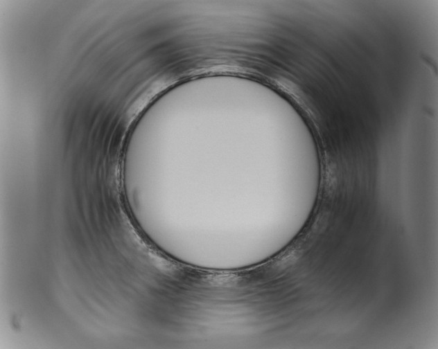 X0000100381282200806271326