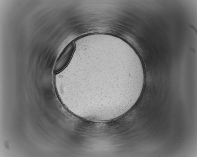 X0000100381283200806271326