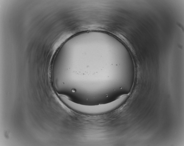X0000100381285200806271326